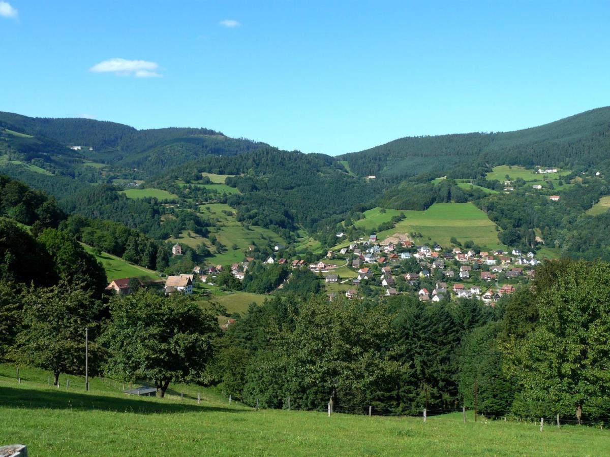 Chalet De Fréland Pokoj fotografie